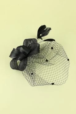 Zapaka Bandeau Rétro Année 1920 En Tulle Avec Plume Noire 16 Zapaka Bandeau Rétro Année 1920 En Tulle Avec Plume Noire -Zapaka 19123103969