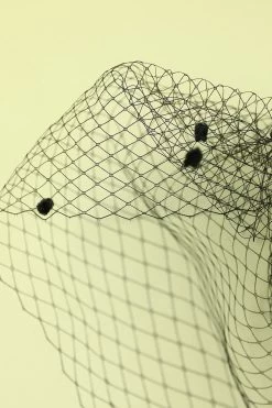 Zapaka Bandeau Rétro Année 1920 En Tulle Avec Plume Noire 19 Zapaka Bandeau Rétro Année 1920 En Tulle Avec Plume Noire -Zapaka 19123103972