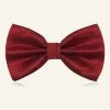 Nœud Papillon Rouge Pour Hommes Pour La Fête -Zapaka CGGXH01135 Burgundy first