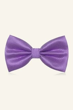 Nœud Papillon Rouge Pour Hommes Pour La Fête 34 Nœud Papillon Rouge Pour Hommes Pour La Fête -Zapaka CGGXH01135 Purple