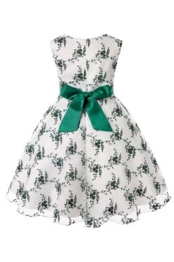 Broderie Bleue Dentelle Robe Pour Filles Avec Nœud Papillon -Zapaka CGLLY30249 Green 2