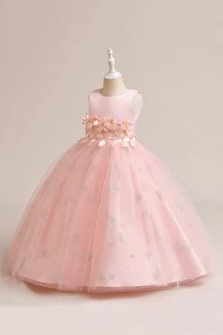 Robe Fille Sans Manches En Tulle Rose Avec Appliques -Zapaka CGLLY30611 Pink 2 d05fd745 0dc9 4c8e b1af d6f4d2b354b4