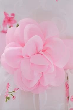 Robe De Soirée Pour Filles Rose Sans Manches Mignonne 11 Robe De Soirée Pour Filles Rose Sans Manches Mignonne -Zapaka CGLLY30616 Pink 5