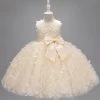 Champagne Princesse Papillon Tulle Robe De Fille Avec Nœud -Zapaka CGLLY30704 20Champagne 20 1