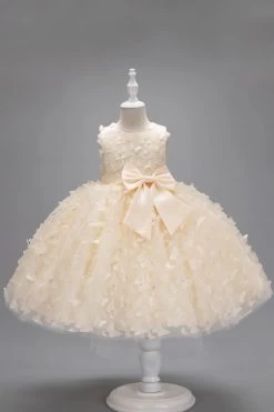 Champagne Princesse Papillon Tulle Robe De Fille Avec Nœud