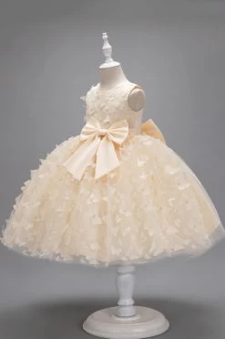 Champagne Princesse Papillon Tulle Robe De Fille Avec Nœud -Zapaka CGLLY30704 20Champagne 20 2