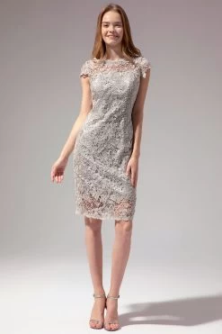 Robe Mère De Mariée En Dentelle Grise